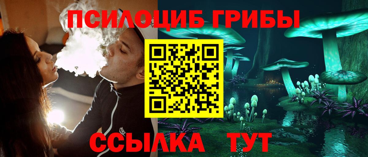 Псилоцибиновые грибы Psilocybine cubensis Сосновоборск