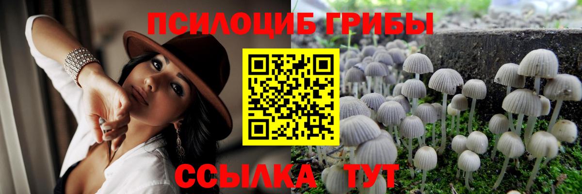 Галлюциногенные грибы Psilocybine cubensis  Вход с VPN  Сосновоборск 